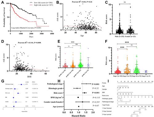 Figure 3 Prediction model construction with risk score. (A) Kaplan–Meier curves for comparison of the overall survival between patients with high or low LIHC risk scores. (B) Pearson correlation analysis of age and risk score. (C) Comparisons of risk score between male and female patients. (D) Pearson correlation analysis of BMI and risk score. (E) Comparison of risk scores among histological grades. (F) Comparison of risk scores among different pathological stages. (G) Forest map plot of univariate Cox regression analysis. (H) Forest map plot of multivariate Cox regression analysis (bold p value denote statistically significant, and filled circle is the value of hazard ratio). (I) Nomogram plot for calculating the probability of survival in patients with LIHC using the multivariate Cox regression model. **p<0.01; ***p<0.001.