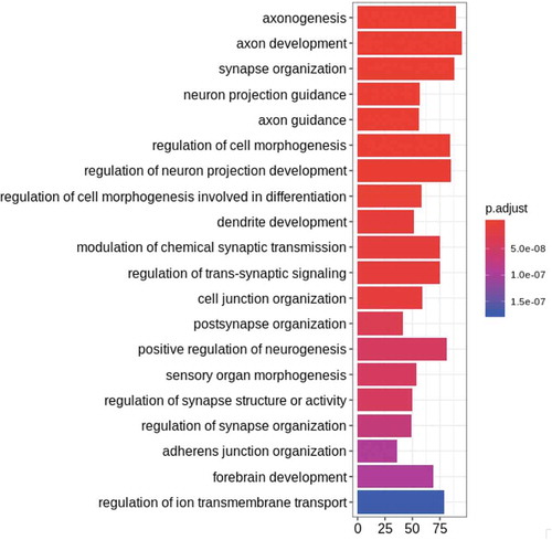 Figure 3. Gene Ontology (GO) and gene set enrichment for age-associated CpGs. The top 20 GO hits for all categories are plotted in order of significance (indicated by bar colour), showing the gene count for each GO category