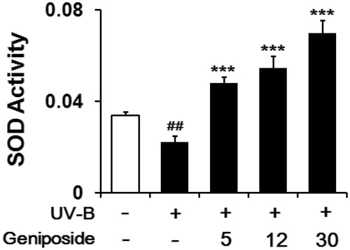 Figure 6. Enhancing effects of geniposide on total superoxide dismutase (SOD) activity levels in cellular lysates of human dermal fibroblasts under the irradiation with UV-B radiation. Fibroblasts were subjected to the varying concentrations (0, 5, 12 or 30 μM) of geniposide for 30 min before the irradiation. Total SOD activity, expressed as Δ550/min/mg protein, was measured using a spectrophotometric assay. ##p < 0.01 versus the non-irradiated control. ***p < 0.001 versus the non-treated control (UV-B irradiation alone).