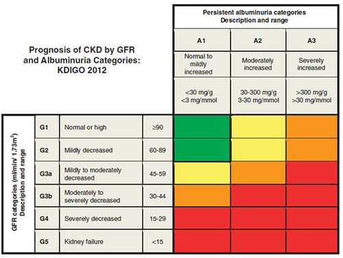 Figure 1 KDIGO CKD staging by GFR and albuminuria categories.