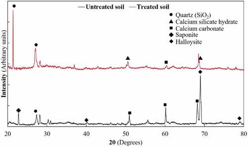 Figure 8. XRD plots of untreated and treated soil.