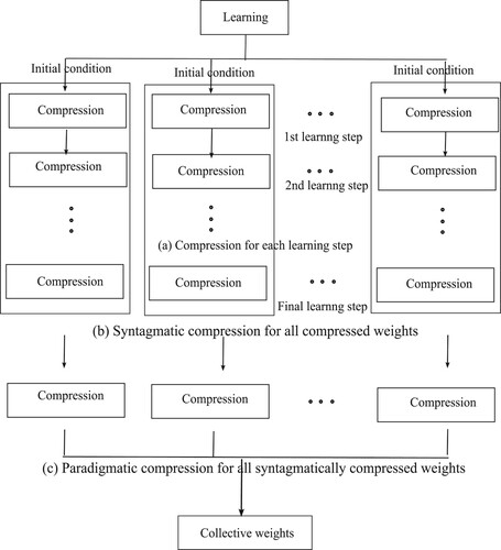 Figure 6. Concept of compression for collective weights by syntagmatic (b) and paradigmatic (c) compression.