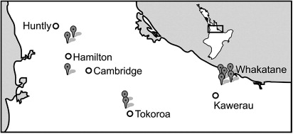 Figure 1 Location of the five farms in each of Waikato and Bay of Plenty where a total of 24 renewed and unrenewed pastures were monitored.