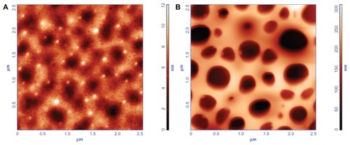 Figure 5 AFM topography images of the triple layer (PLGA [65:35]–PLGA [75:25]–PCL) loaded with dipyridamole: (A) as fabricated by spin coating at 53 × g for 30 seconds and (B) after its degradation in PBS solution for 15 minutes.Note: The scan size is 2.5 μm × 2.5 μm.Abbreviations: AFM, atomic force microscopy; PLGA, poly (DL-lactide-co-glycolide); PCL, polycaprolactone; PBS, phosphate buffered saline