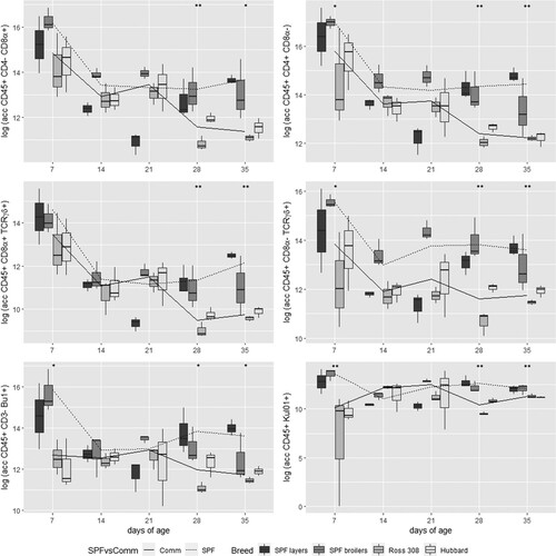 Figure 7. Comparison of absolute cell counts in logarithmic transformation of six different immune cell populations at five sampling days between four different lines represented in boxplots and between combined data of SPF lines (including results of SPF layers and SPF broilers) and commercial (Comm) lines (including results of Ross 308 and Hubbard) in lines. Significant differences between the two combined groups (SPF and Comm) are indicated with *P < 0.05 or **P < 0.01.