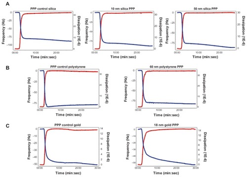 Figure 7 Effects of silica, polystyrene, and gold nanoparticles on platelet-poor plasma using quartz crystal microbalance with dissipation. Perfusion of fibrinogen-coated polystyrene-coated quartz crystals with platelet-poor plasma in the presence of silica, polystyrene, and gold nanoparticles did not induce significant changes in frequency and dissipation. Representative traces from the third overtone recorded by the device showing the effects of platelet-poor plasma in the presence or absence of (A) silica nanoparticles, (B) polystyrene nanoparticles, and (C) gold nanoparticles on frequency (blue line, left axis) and dissipation (red line, right axis).Abbreviation: min, minutes; PPP, platelet-poor plasma; sec, seconds.