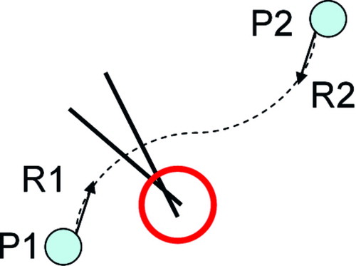 Figure 8. An example of “backtracking” in a distraction plan that may cause premature fusion. Here the dark lines indicate the position and orientation of the cut surface as it moved along the distraction trajectory. As a result of high curvature, the point at the end of the line has moved “backwards” relative to its previous position. [Color version available online.]
