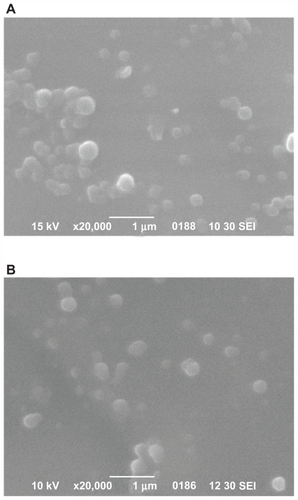 Figure 5 Scanning electron micrographs of ropinirole HCl-loaded nanoparticles with the studied polyesters. (A) PPAz; (B) PPPim.Abbreviations: PPAz, poly(propylene azelate); PPPim, poly(propylene pimalate).