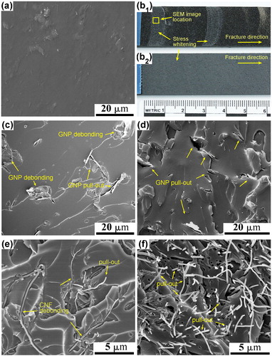 Figure 12. An illustration of the intrinsic and extrinsic toughening mechanisms in epoxy-carbon reinforced composites. Adapted with permission from Ref. Citation152. (a) SEM image of the fracture surface of unmodified epoxy polymer; photograph of the fracture surface of epoxy nanocomposites with (b1) 1.5 wt% aligned CNFs and (b2) 1.5 wt% aligned GNPs; SEM images of the fracture surface of epoxy nanocomposites containing (c) 1.5 wt% randomly-orientated GNPs; (d) 1.5 wt% aligned GNPs; (e) 1.5 wt% randomly-orientated CNFs; and (f) 1.5 wt% aligned CNFs.