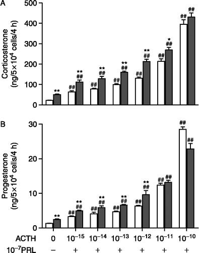 Figure 3 Effects of co-treatment with 10-7 M oPRL and ACTH (10− 15 to 10− 10 M) on release of corticosterone (A) and progesterone (B) by primary cultures of adrenal cells from adult male HAA (open bar) and LAA rats (close bar). Results are represents the means ± SEM of three different experiments performed in quadruplicate. ##P < 0.01 compared with basal level (0M) of each strain, respectively. *, **P < 0.05, P < 0.01 as compared with HAA rats, respectively.