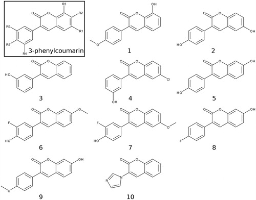 Figure 2. 2D structures of the coumarin derivatives. The 3-phenylcoumarin analogues 1–7 produce HSD1 inhibition at a varying degree, but 8 and 9 were found to be inactive (Table 1). Compound 10 or 3-imidazolecoumarin inhibit aromatase instead of HSD1.
