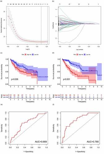 Figure 5. Prognostic model and its influence on the prognosis of HCC patients