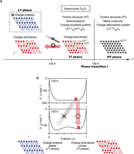 Figure 5. One-step phase transition in a nanocrystal Ti4O7. (a) Schematic of the one-step phase transition. Charge-delocalized HT phase transits to the charge-localized IT phase at 150 K (phase transition I). Charge-disordered IT phase does not transit to the charge-ordered phase (i.e. charge-disordered IT phase is maintained at low temperature). In the schematic structure of Ti4O7 viewed from b-axis, oxygen is omitted for clarity. Gray and red (or blue) circles indicate Ti3.5+ and Ti4+, respectively, and the covalently bonded pair of Ti3+ is expressed as a white–elongated ellipse. (b) Calculated Gibbs free energy (G) vs. fraction (x) curves between the charge-disordered and charge-ordered phase at 130 K and 120 K. Phase transition II from the charge-disordered to charge-ordered phase does not occur using values of ΔHtrans = 191 J mol-1, ΔStrans = 1.5 J K-1 mol-1, and γ = 2.3 kJ mol-1. Red circles indicate the thermal populations.