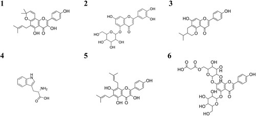 Figure 4. Proposed chemical structure of the six metabolites altered by the presence of barley in a lupin cropping system. Metabolite 1: a branched flavonoid – here kaempferol as backbone (1), metabolite 2: a flavonoid with a hexose – here luteolin as backbone with glucoside (2), metabolite 3: a branched flavonoid – here apigenin as backbone (3), metabolite 4: tryptophan (4), metabolite 5: a branched flavonoid – here kaempferol as backbone (5) and metabolite 6: a flavonoid with two hexoses and a malonyl – here apigenin as backbone with a diglucoside, one of which with a malonic acid ester (6).