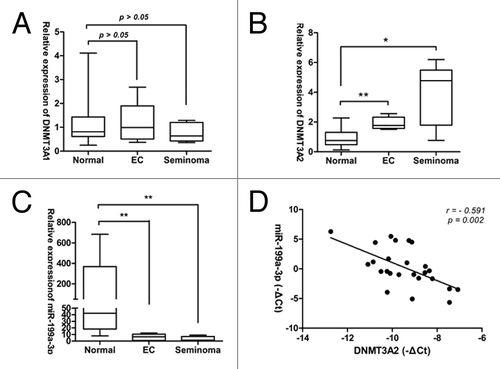 Figure 4. miR-199a-3p expression and DNMT3A2 mRNA levels inversely correlate in human TGCT tissues. (A) DNM3A1 mRNA expression (B) DNMT3A2 mRNA expression (C) miR-199a-3p expression in TGCT tissues compared with Normal testis tissues. (D) miR-199a-3p and DNMT3A2 mRNA expression levels inversely correlated in 25 clinical samples. Statistical analysis to evaluate correlation was performed using Pearson's correlation analysis (r = −0.591, p = 0.002).