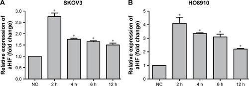 Figure 2 Hypoxia upregulates aHIF expression in SKOV3 and HO8910 EOC cells.