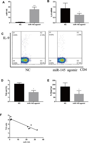 Figure 5 miR-145 inhibits Th9 cell production in a mouse model of MA (n=5). Construction of a mouse mode of MA in liver cancer, and intravenous injection of mmu-miR-145-5pagomir or negative control oligonucleotide. After 2 weeks, mice were sacrificed, and spleen tissue was isolated. (A, B) relative expressions of miR-145 and IL-9 mRNA were measured by RT-PCR. (C, D) Th9 cells were analyzed by flow cytometry. (E) ELISA was used to detect IL-9 levels. (F) The relationship between miR-145 and Th9 cells. *P<0.05; ***P<0.01.Abbreviations: MA, malignant ascites; NC, negative control; IL, interleukin; CD4, T helper cells; RT-PCR, reverse transcription-polymerase chain reaction; ELISA, enzyme linked immunosorbent assay.