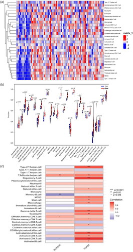 Figure 12. Analysis of immune-related interactions in the glomerulus of focal segmental glomerulosclerosis. (a) Heatmap. (b) Violin plot. (c) The link between two key biomarkers and immune cell infiltration.