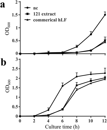 Figure 2. Antibacterial activity of the C. reinhardtii-expressed hLF protein extract against two bacteria strains, Escherichia coli DH-5α (a) and Klebsiella variicola IV-3 (b). The two strains (106 CFU/mL) were incubated with 27.5 mg/mL of algae protein extract containing 0.5 mg/mL recombinant hLF from clone 121 for 12 h at 37°C. The algae clone with empty vector pCAMBIA-1301C (27.5 mg/mL) was used as a negative control. The commercial hLF (0.5 mg/mL) used as a positive control. The antibacterial activity was determined by the value of OD600. Data are shown as mean ± SD (n = 3).