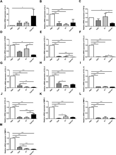 Figure 4 Relative mRNA expression levels of the evaluated cytokines, chemokines, and matrix metalloproteinases (MMPs). The mRNA expression of IL-2 (A), IL-4 (B), TGF-β (C), VEGF (D), CCL1 (E), CCL2 (F), CCL3 (G), CCL5 (H), CCL12 (I), CCL21 (J), MMP-2 (K), MMP-3 (L), and MMP-9 (M) in the tumor tissues. Data are shown as means±SD. * P<0.05, ** P<0.01, *** P<0.001.