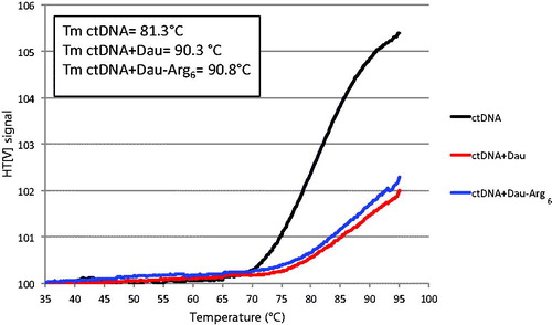 Figure 4. Melting analysis. Thermal denaturation of ctDNA (0.2 mg/mL) at λ = 260 nm in the absence and the presence of 4 µM Dau and Dau-Arg6 in Tris–HCl buffer. The melting temperatures (Tm) were determined as described in Section 2 and reported in the inset.