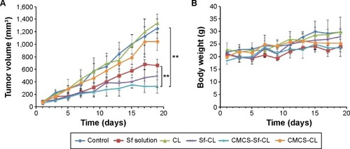 Figure 9 In vivo antitumor efficacy study in H22 cells-bearing Kunming mice tumor model after intravenous injection of PBS, free Sf solution, CL, Sf-CL, CMCS-Sf-CL, and CMCS-CL.Notes: (A) Relative tumor volume; (B) average tumor mass isolated from the mice of each experimental group; (C) variation in body weight as a function of time. Data are mean ± SD (n=5). **P<0.01, *P<0.05.Abbreviations: Sf, sorafenib; CL, blank cationic liposomes; Sf-CL, sorafenib-loaded cationic liposomes; CMCS-Sf-CL, carboxymethyl chitosan-modified sorafenib-loaded cationic liposomes; CMCS-CL, carboxymethyl chitosan-modified blank cationic liposomes; PBS, phosphate-buffered saline; siRNA, small interfering RNA.