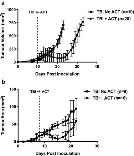 Figure 1. ACT with activated CTLs induces tumor regression but fails to eliminate tumors. (a) B16.OVA.GFP tumor growth curves by tumor volume (mm3) in C57Bl6 mice with (circles) or without (squares) transfer of activated OT.I T cells. (b) Growth curves by tumor area (mm2) of AB1.HA tumors in BALB/c mice with (circles) or without (squares) transfer of activated CL4 T cells. Points represent the mean and error bars show standard deviation. Dotted lines represent treatment time points. All mice received 550 rads TBI. Data are pooled from three independent experiments for B16.OVA.GFP and AB1.HA tumors. Error bars represent the mean ± the standard deviation.