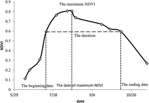 Figure 5. Four phenological metrics that show the change in NDVI values during middle-season rice growth.