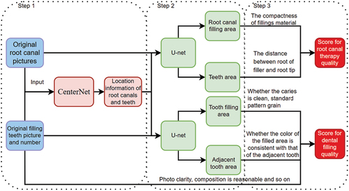 Figure 1. Dental treatment quality evaluation process.