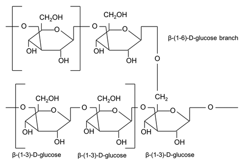 Figure 2. Structure of yeast β-glucan (adapted from Volman et al.Citation112). Polymer of β-(1–3)-D-glycopyranosyl units with branching at β-(1–6)-D-glycopyranosyl units. S. cerevisiae structure consists of β-1–3 and small numbers of β-1–6 branches and β-1–6 linkages.