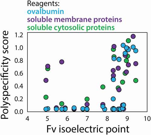 Figure 9. Impact of Fv isoelectric point on antibody nonspecific interactions. Ovalbumin, soluble cytosolic proteins and soluble membrane proteins preferentially detect a subset of mAbs with high Fv isoelectric points, while soluble cytosolic proteins and soluble membrane proteins also detect a subset of mAbs with low Fv isoelectric points. The PSP scores were calculated as described in Fig. 3, and the isoelectric points were calculated based on the Fv sequences