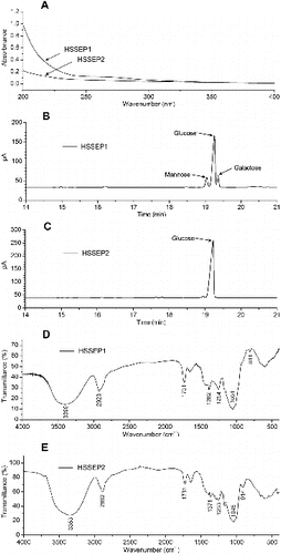 Figure 4. Preliminary characterization of HSSEP isolated from HSSE.Note: UV spectra of HSSEP1 and HSSEP2 (A); monosaccharide composition of HSSEP1 (B); Monosaccharide composition of HSSEP2 (C); FT-IR spectra of HSSEP1 (D); FT-IR spectra of HSSEP2 (E).
