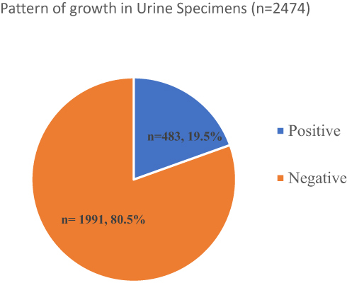 Figure 1 Growth rate in urine specimens.