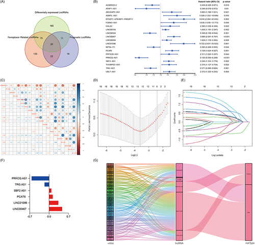 Figure 2 Construction of the Novel Ferroptosis-Related lncRNA Risk Score Prognostic Model for CLL patients (A)Venn diagram of the generation of 20 PFDELs. (B)Forest plots showed the HR and p value of the 20 PFDELs. (C) Correlation analysis of the 20 FRGs. (D and E) The LASSO coefficient profiles of the 6 FRLs signature. (F) Coefficients (λ) of the 6 FRLs in the FPS model. (G) Sankey diagram of the relationship between the lncRNAs, ferroptosis-related genes and the risk types.
