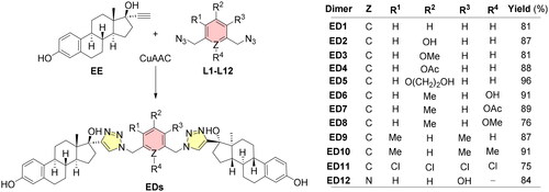 Scheme 2. Structures of estradiol dimers prepared by 1,3-dipolar cycloaddition. CuAAC: CuSO4·5H2O (10 mol%), sodium ascorbate (15 mol%), DMF, MW, 80 °C, 2 h.