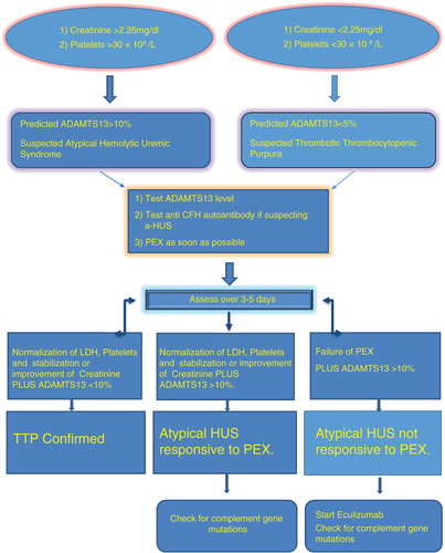 Algorithm 1.  Approach to Thrombotic Thrombocytopenic Purpura