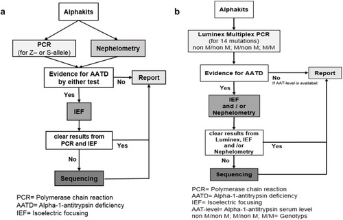 Figure 1 (A) The traditional workflow (modified after 9) and (B) the Luminex-based workflow. (A) If there were indications for the presence of AATD in the PCR (presence of Z- or S allele) or in the nephelometry (AAT level below a threshold) an IEF was performed. The analysis of 1979 samples by PCR and nephelometry revealed deviating results in 1220 samples (presence of Z- or S-allele; AAT-level <1.7 mg/dl). Out of 1220, in 93 samples no clear result was obtained from the IEF, and therefore these samples were sequenced. (B) Possible Luminex results (“non M/non M”, “M/non M” and “M/M”) and the following procedures depending on the results. The algorithm is based on two principles: To exclude AATD, Luminex result had to be negative and the AAT level had to be in the normal range. To diagnose heterozygote or homozygote deficiency, the result had to be confirmed on a second biological level (genes and proteins).