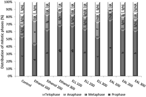 Figure 2. Distribution of the phases of mitotic division (prophase, metaphase, anaphase, telophase) in the root meristematic tips of A. cepa L. exposed to the treatment with ethanol extracts from larvae and adults of L. decemlineata (Say). The data are the mean values ± SE of three replicates; a, b, c, d, e, f, g, h, i, j, k – interpretation of statistical significance and significant differences according to the Duncan test, p < 0.05.