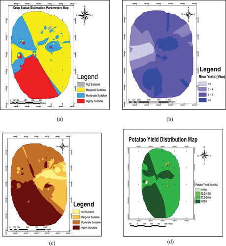 Figure 5. Final crop suitability and yield distribution map; a) crop suitability map for rice (b) rice yield distribution map, c) crop suitability map for potato, d) potato yield distribution map.