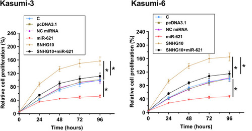 Figure 5 SNHG10 targeted miR-621 to inhibit the proliferation of AML cells. The effects of miR-621 and SNHG10 on regulating the proliferation of Kasumi-3 and Kasumi-6 cells were analyzed by CCK-8 assay. Mean ± SD values were used to express data from 3 biological replicates. *p < 0.05.