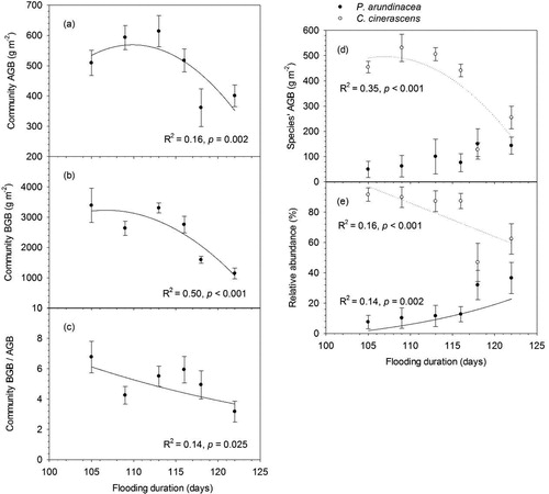 Figure 5. Responses of (a) community aboveground biomass (AGB); (b) community belowground biomass (BGB); (c) community BGB/AGB ratio; (d) species’ AGB of P. arundinacea and C.cinerascens. (e) relative abundance of P. arundinacea and C.cinerascens to flooding duration (error bars demote SEM, n = 60). Actual regressions were done on the unaveraged data points (n = 60).