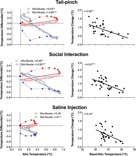 Figure 5. Relationships between changes in NAc temperature and two temperature differentials (NAc-muscle and skin-muscle) during tail-pinch, social interaction and subcutaneous saline injection in freely moving rats. Graphs on the left side show time-dependent correlative relationships between changes in NAc temperature and two temperature differentials. In each case, increases in NAc temperature correlated with increases in NAc-muscle differentials and decreases in skin-muscle differentials. Graphs on the right side show that NAc temperature increases induced by each arousing stimulus were dependent on basal NAc temperatures; these responses were strong at low basal temperatures and progressively weaker at higher basal temperatures. Regression line crossed the line of no effect at ~39.0–39.5°C, suggesting upper limits for physiological brain temperature increase. Compiled from original data published in [Citation57] and re-analyzed for this report.