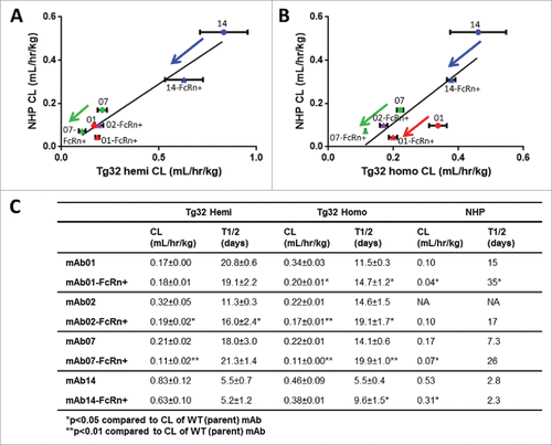 Figure 4. hFcRn Tg32 PK Differentiation in Framework Mutations. CL correlation between (A) Tg32 hemizygous and (B) homozygous mouse to NHP for 4 pairs of parent and FcRn+ mAbs (mAb01, mAb02, mAb07, mAb14) and (C) Summary of CL and T1/2 PK parameters for each parent and FcRn+ mAb in Tg32 hemizygous and homozygous mice and NHP. Statistical significance determined using a Student's paired t-test (*p < 0.05 and ** p < 0.01).