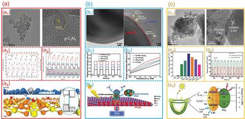 Figure 9. The charge separation on hetero-interfaces for photocatalytic water splitting. (a) TiO2/g-C3N4 hetero-interfaces: (a1) TEM and HRTEM images; (a2) Photocatalytic H2 generation performance; (a3) Transient photocurrent curves; (a4) Mechanism of Photocatalytic H2 Production. (Reproduced with permission from [Citation114], Copyright 2021, American Chemical Society) (b) Co-Mn/Fe2O3 hetero-interfaces: (b1) TEM and HRTEM images; (b2) Transient photocurrent curves; (b3) charge separation efficiencies; (b4) Schematic electron transfer paths. (Reproduced with permission from [Citation115], Copyright 2019, Wiley) (c) WS2/CdS hetero-interfaces: (c1) TEM and HRTEM images; (c2) Photocatalytic H2 evolution performance; (c3) Transient photocurrent curves; (c4) Mechanism schematics for photocatalytic H2 evolution. (Reproduced with permission from [Citation116], Copyright 2020, Elsevier).