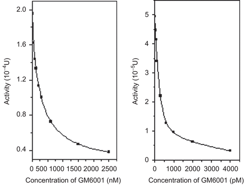 Figure 6.  The inhibitive curve of GM6001 on TACE (left) and MMP-9 (right). The activity of TACE and MMP-9 as determined by HPLC method was decreased by the different concentrations of GM6001.