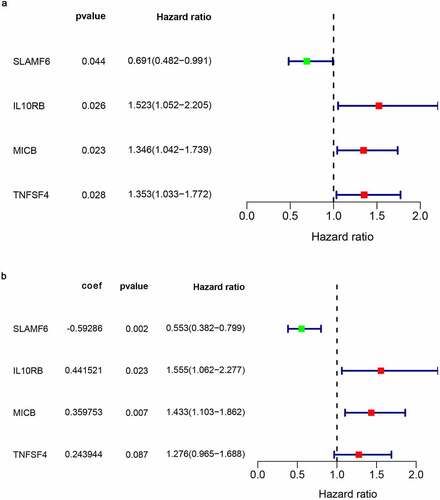 Figure 8. The development of prognostic gene signatures based on 82 FAM83D-associated immunomodulators. (a) Univariate COX regression of FAM83D-associated immunomodulators. (b) The hazard ratios and coefficient of FAM83D-associated prognostic genes of multivariate COX regression