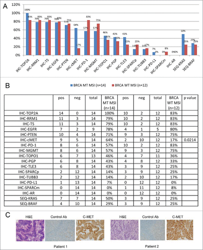 Figure 1. BRCA mutations in MSI-(H)CRCs correlate with high c-MET expression. (A) Immunohistochemistry analysis of a panel of cancer markers in BRCA mutated MSI-H (blue) compared with BRCA wild-type (WT) MSI-H (red) CRC samples graphed as biomarker frequency. The comparison revealed a correlation between mutated BRCA2 and high expression of c-MET. (B) Detailed analysis of the bar graphs presented in (A). (C) Representative IHC images of 2 cases of MSI-H BRCA mutant CRC with high c-MET expression.