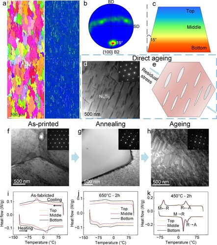 Figure 2. Microstructural features and phase transformation behaviour of the 4D printed variable-geometry inlet. (a) Inverse pole figure map and kernel average misorientation map of the as-printed inlet. (b) {100}B2 pole figure of the area shown in (a). (c) 2D model of the inlet shows the 15° angle between generatrix of the conical tube and the building direction. (d) BF-STEM image and corresponding selective area diffraction pattern of the direct ageing sample. (e) Schematic diagram of the directionally distributed Ni4Ti3 under residual stresses. (f-h) BF-STEM images present the microstructure evolution of the 4D printed variable-geometry inlet. (i-k) Phase transformation behaviour evolution of the 4D printed variable-geometry inlet.