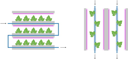 Figure 1. Examples of nutrient film technique and drip irrigation systems in Vertical Farming (based on Gentry Citation2019).