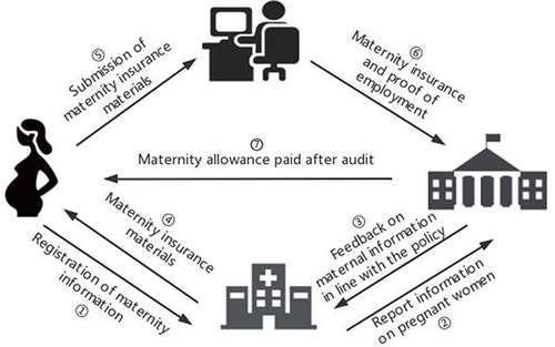 Figure 1 Flow chart of maternity insurance and maternity allowance payment in China.